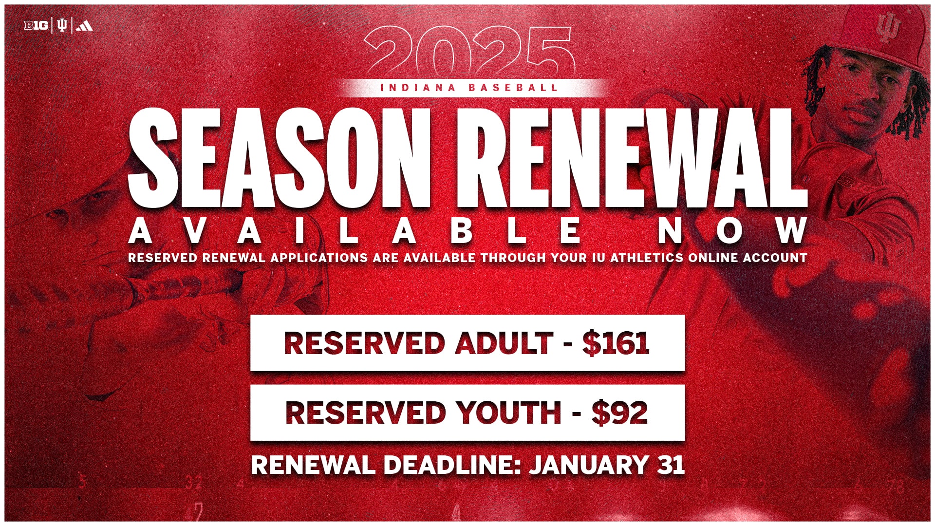 baseball-renewal